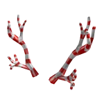 Candy Cane Antlers